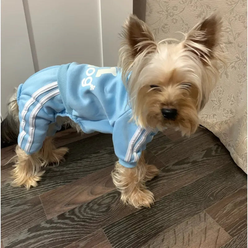 Sweatshirt with Hoodie for Small Dogs, Cats and Puppies for Autumn and Spring.