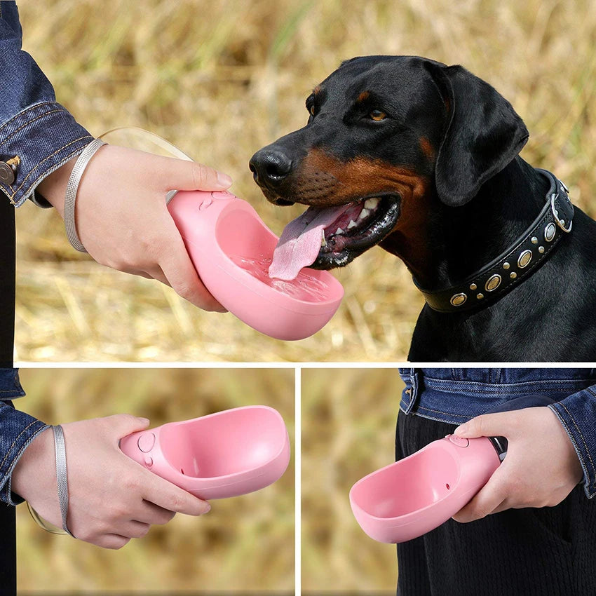 Pet Water Bottle Drinking Feeder for Dogs & Cats