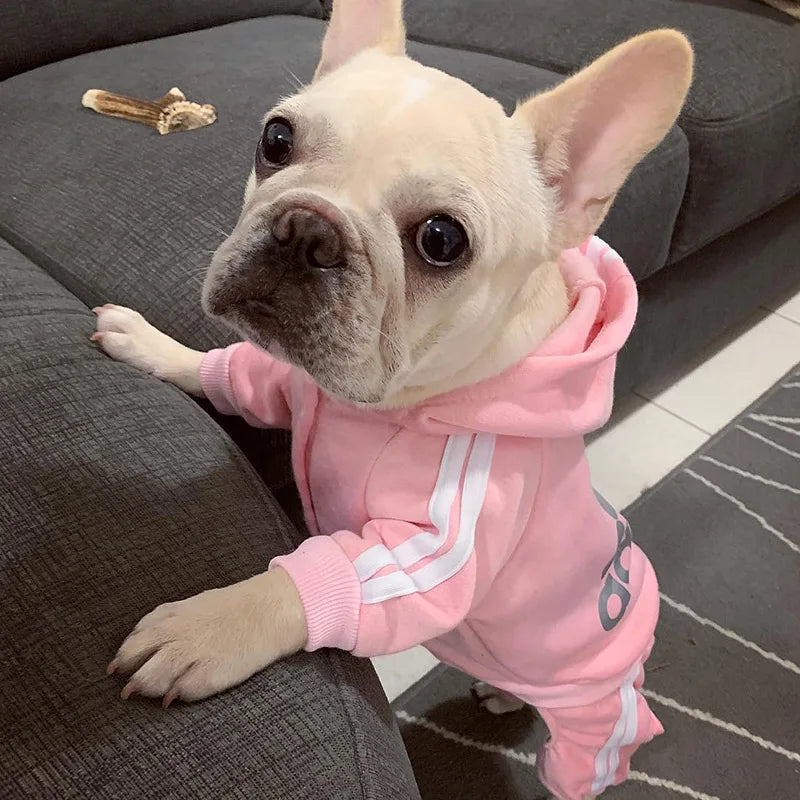 Sweatshirt with Hoodie for Small Dogs, Cats and Puppies for Autumn and Spring.