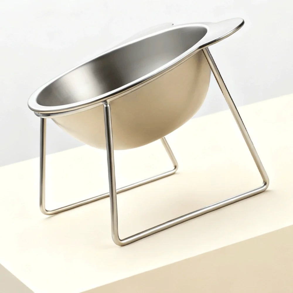 Stainless Steel Elevated Pet Bowl: Angled Tilted Feeder & Heat-Resistant.