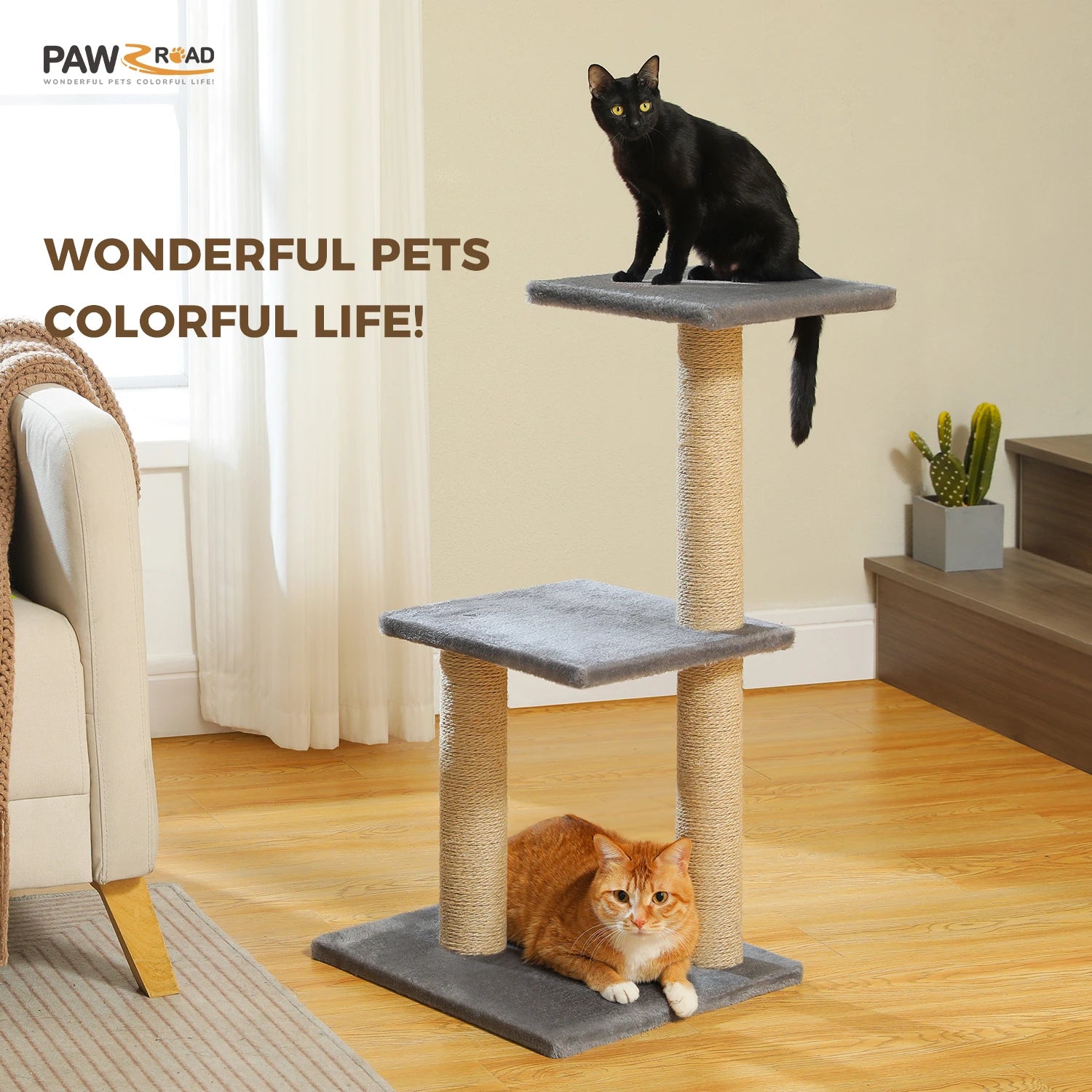 Mess Proof Dog Bowls Elevated for Large Dogs