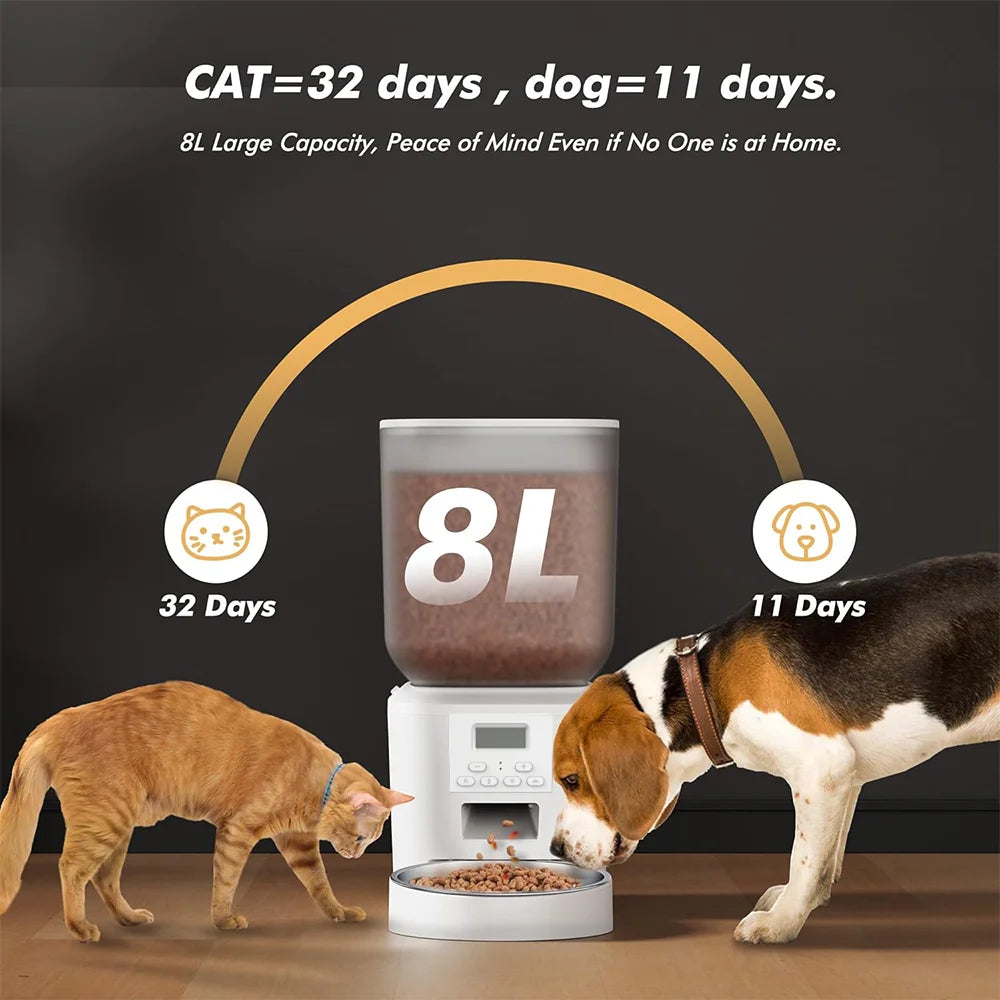 8 L Automatic Cat Feeder with Voice Recorder and Stainless Steel Bowl
