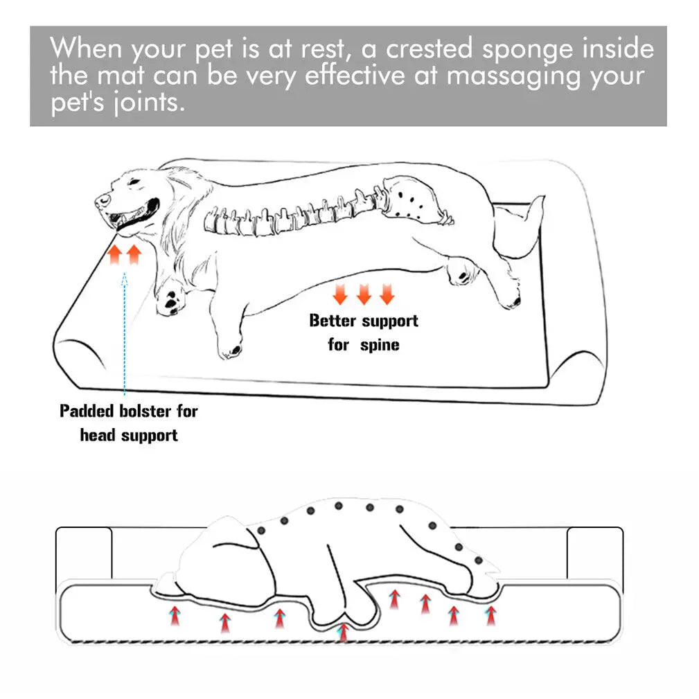Dog Beds with Orthopedic Pet Mattress and Cushion