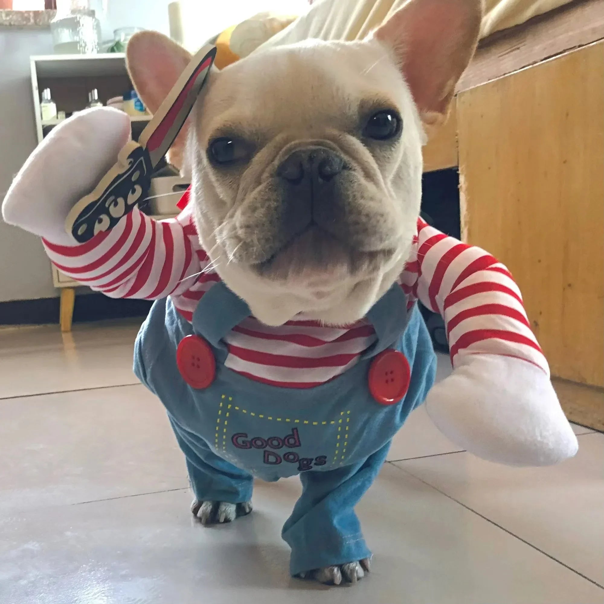 Sweatshirt & Overalls for Halloween Horror Movie Chucky for Small & Medium Dogs.