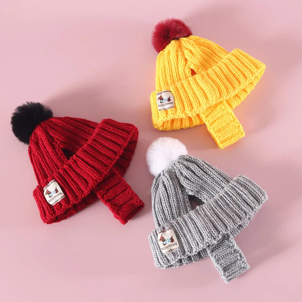 Winter Knitted Dog Hat with Plush Ball