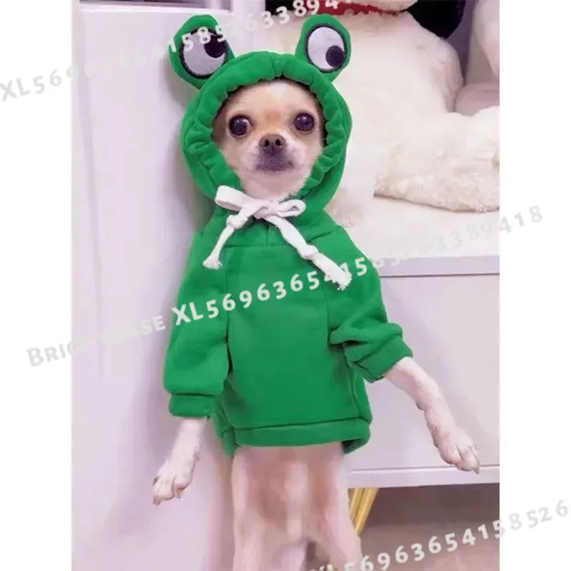 Cute Frog Sweater for Small & Medium Dogs.