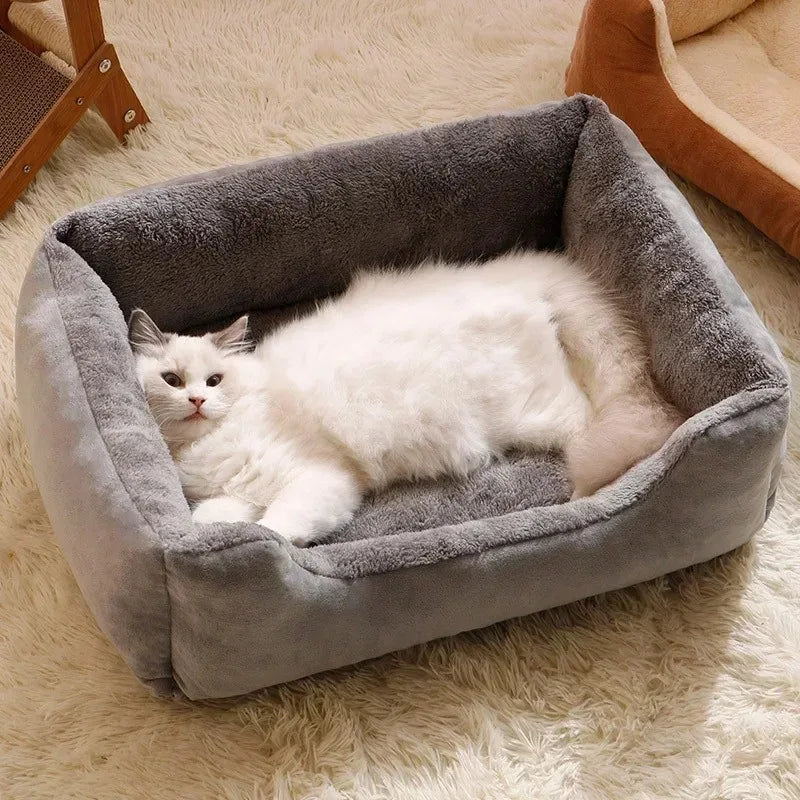 Basket Beds for Cats, Kittens & Small Dogs with Cushion.