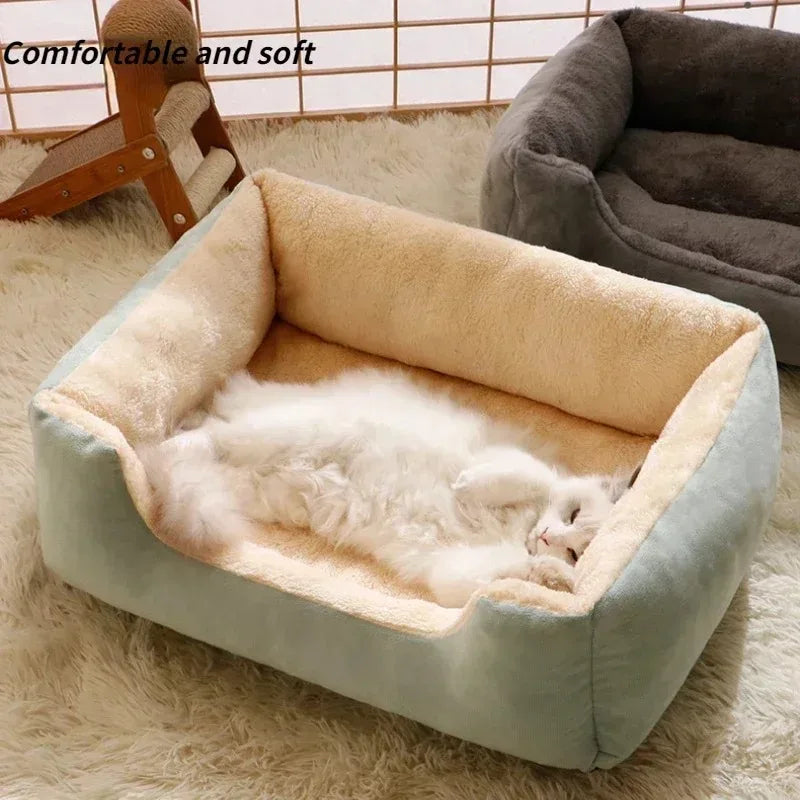 Basket Beds for Cats, Kittens & Small Dogs with Cushion.