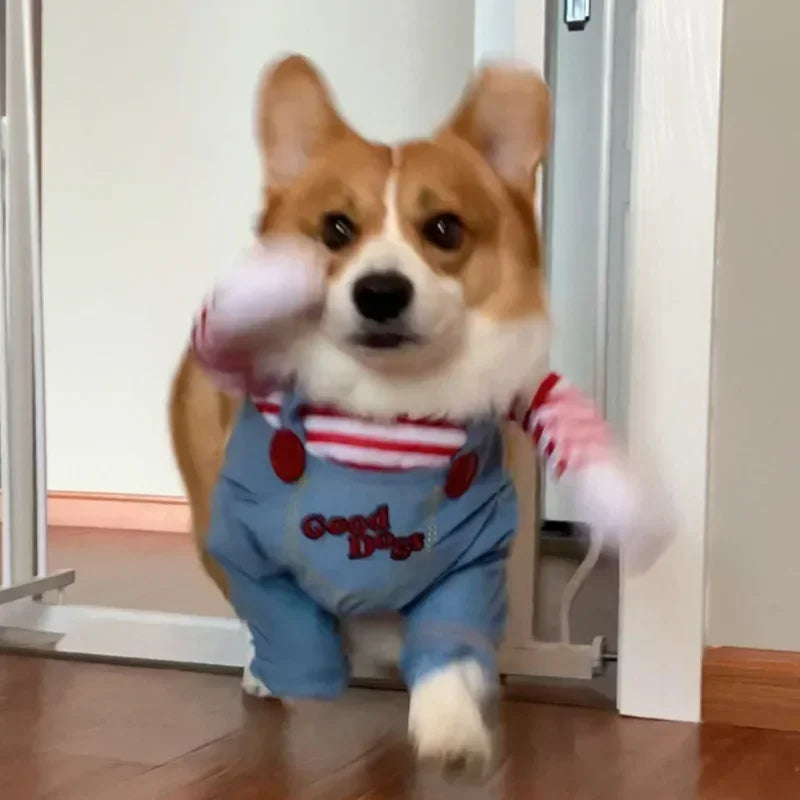 Sweatshirt & Overalls for Halloween Horror Movie Chucky for Small & Medium Dogs.