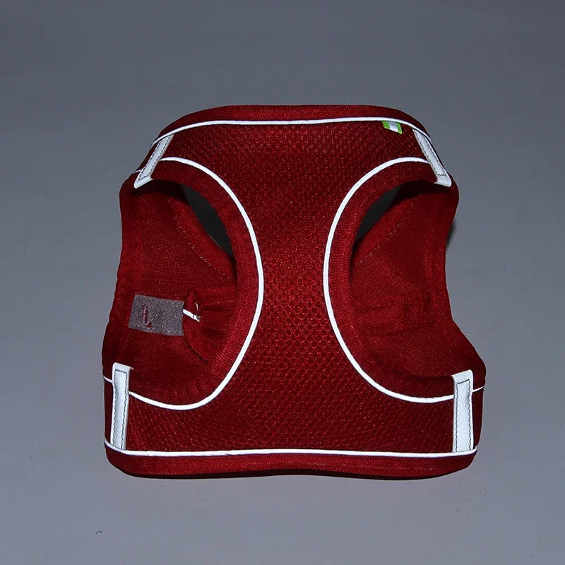 Puppy Collar and Leash Set with Adjustable Harness Vest