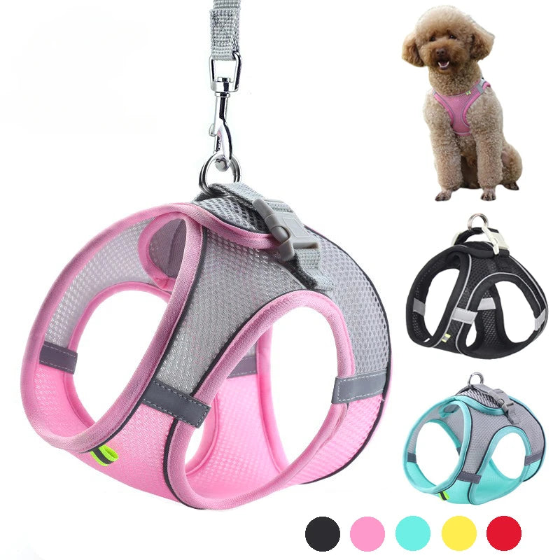 Puppy Collar and Leash Set with Adjustable Harness Vest