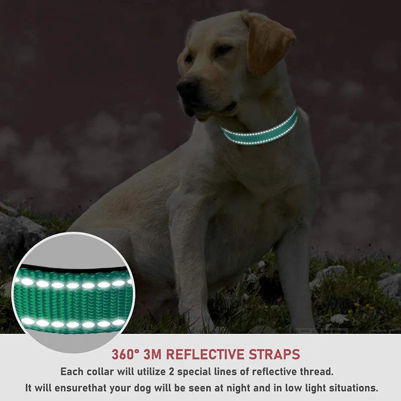 Adjustable Reflective Dog Collar Strap for Dogs