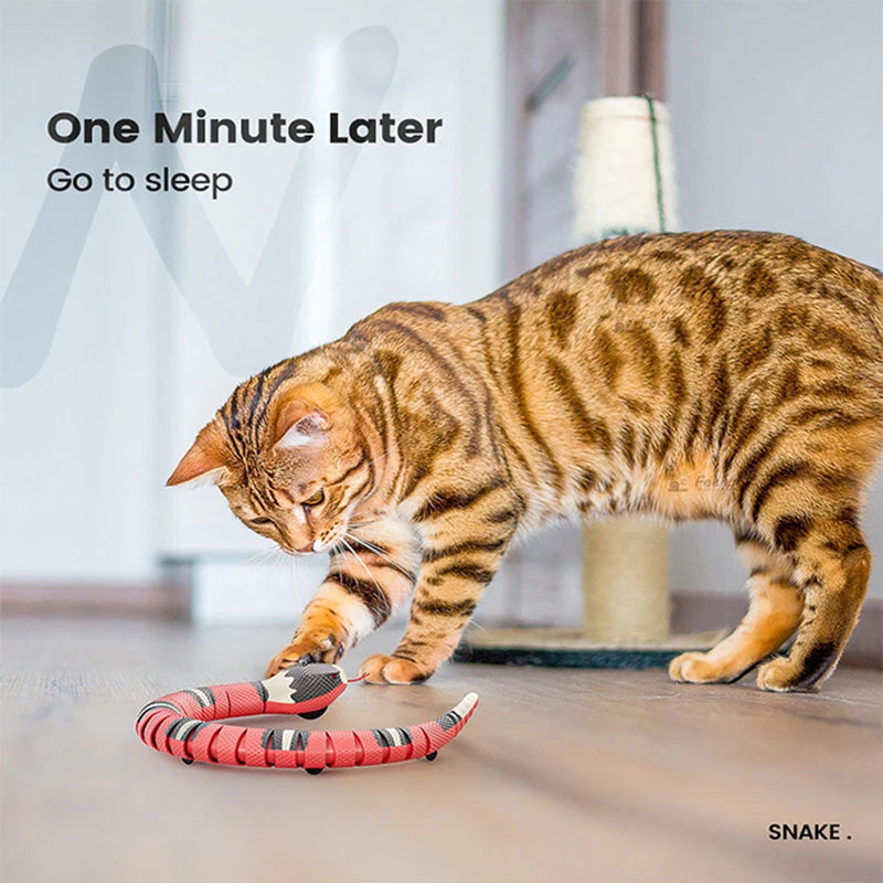 Interactive Smart Snake, USB Rechargeable, Tease Toys for Cats.