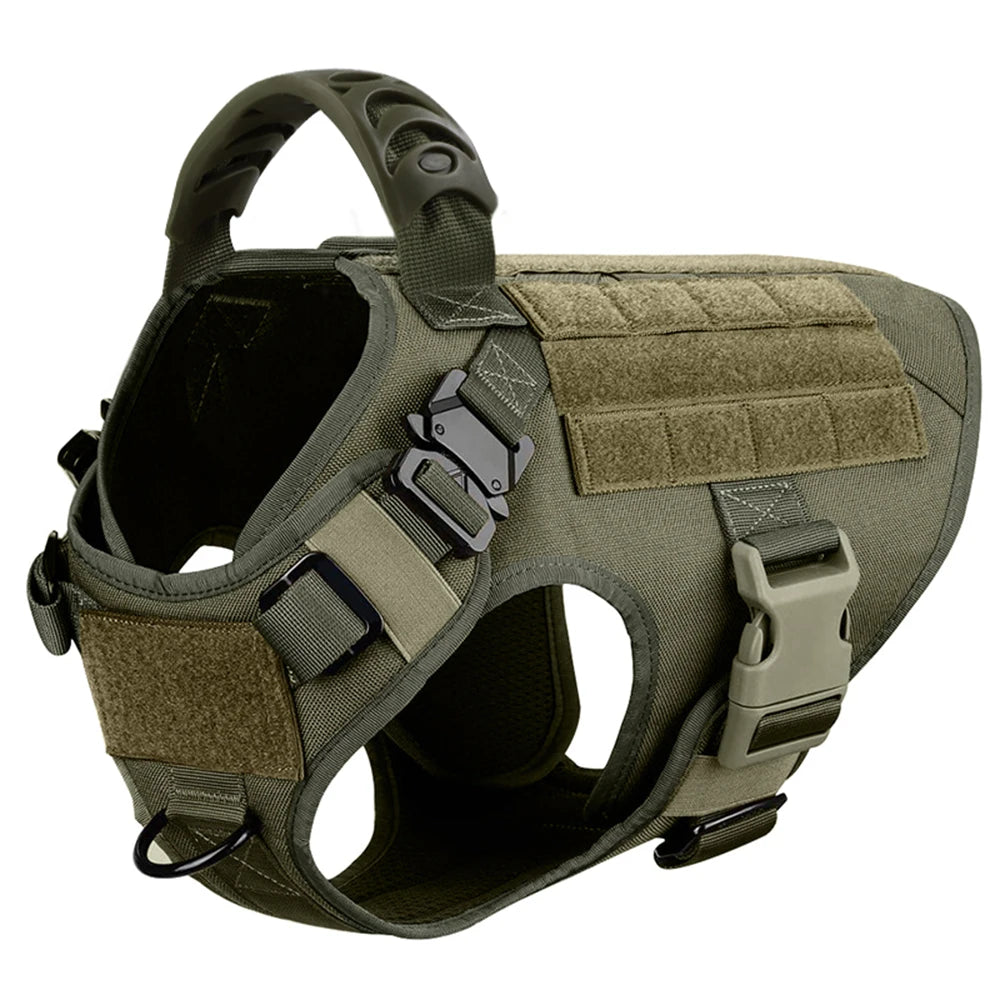 Medium Large Dog Harness And Leash Set for Walking