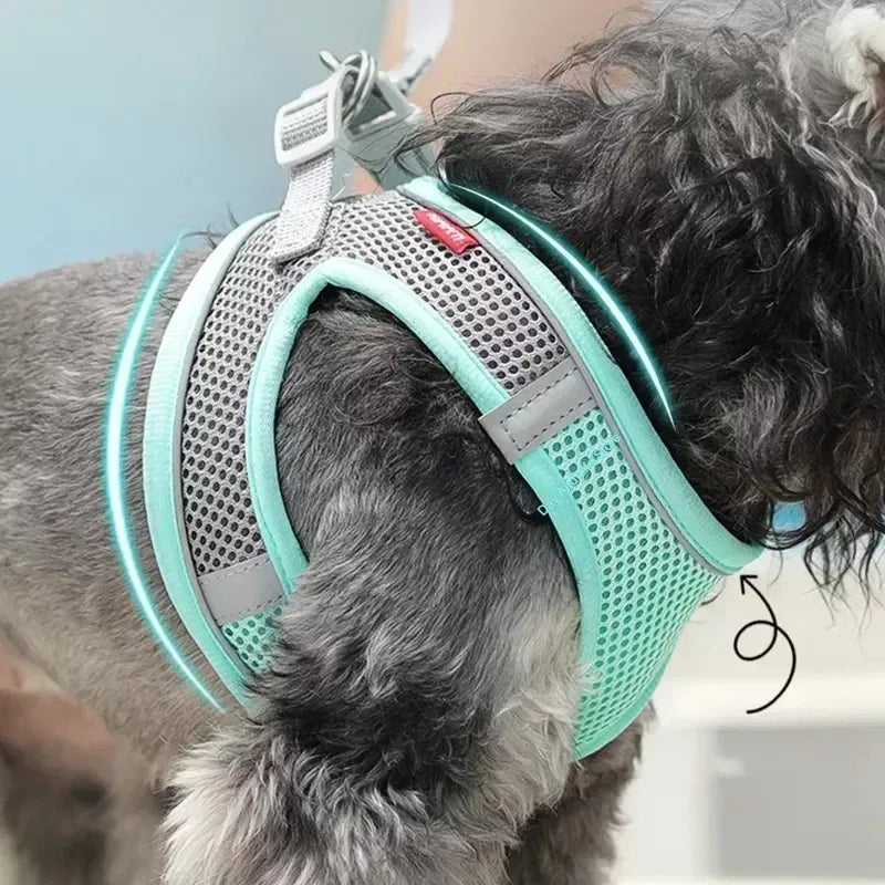 Puppy Collar and Leash Set with Adjustable Harness Vest
