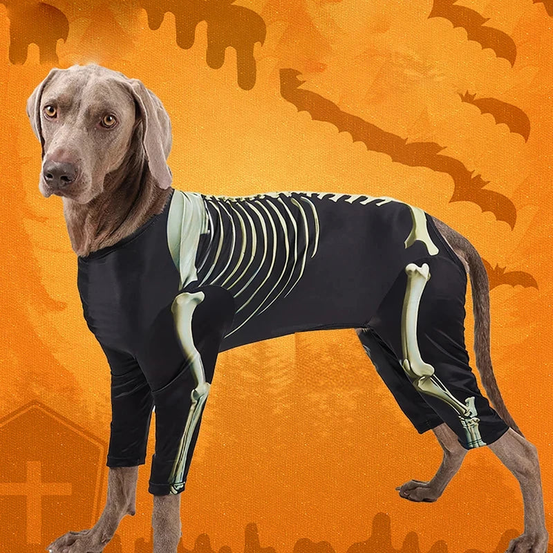 Large Skeleton Dog Halloween Costume.