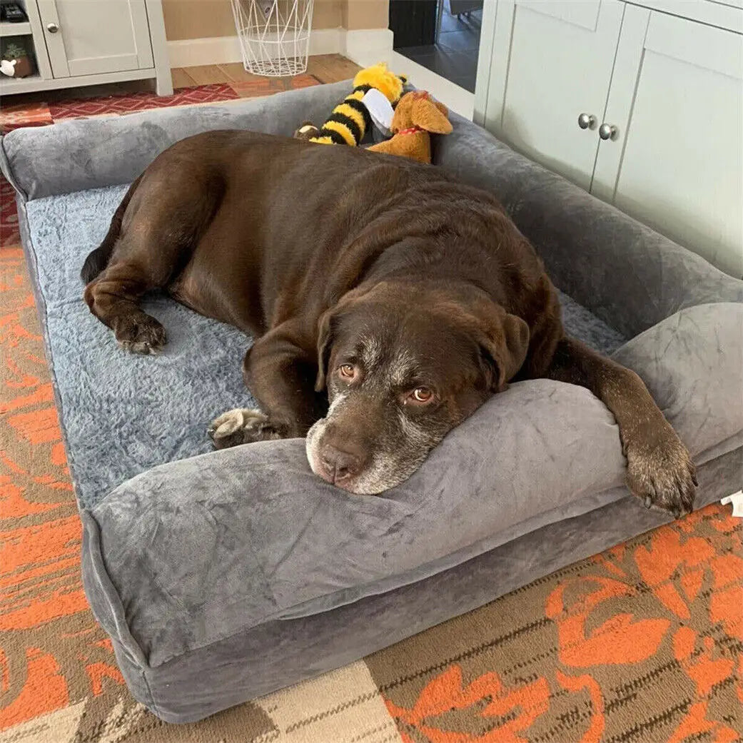 Dog Beds with Orthopedic Pet Mattress and Cushion