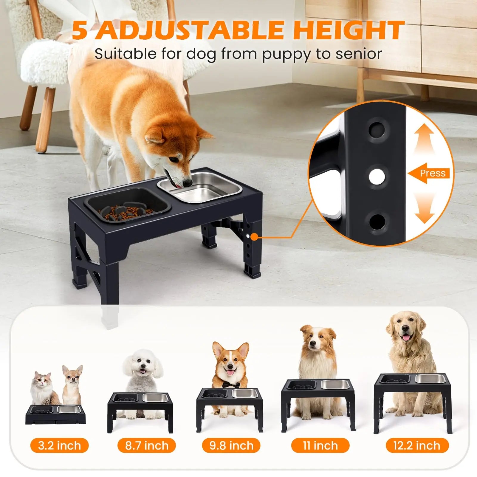 Elevated Dog and Cat Bowls with Foldable Stand