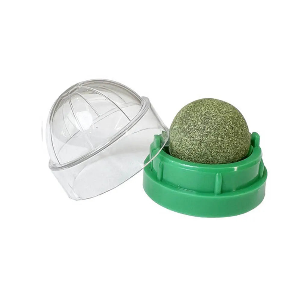 Catnip Cat Wall Stick-on Ball Toy