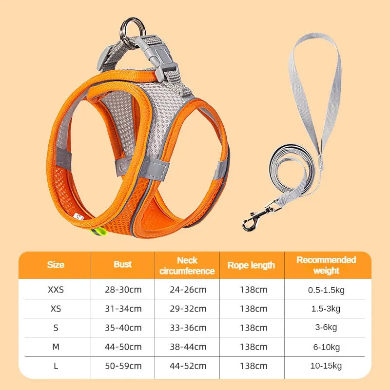 Puppy Collar and Leash Set with Adjustable Harness Vest
