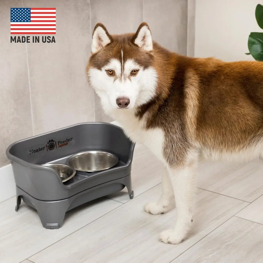 Mess Proof Dog Bowls Elevated for medium to large dogs. Raised feeding stand helps organize food and water bowls for a cleaner, more convenient setup.