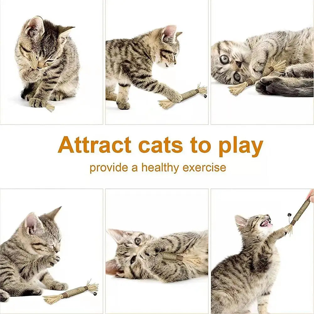 Cat Toys Cleaning Teeth Chew Stick with catnip for engaging play and chewing. A fun interactive accessory designed for cats and kittens.