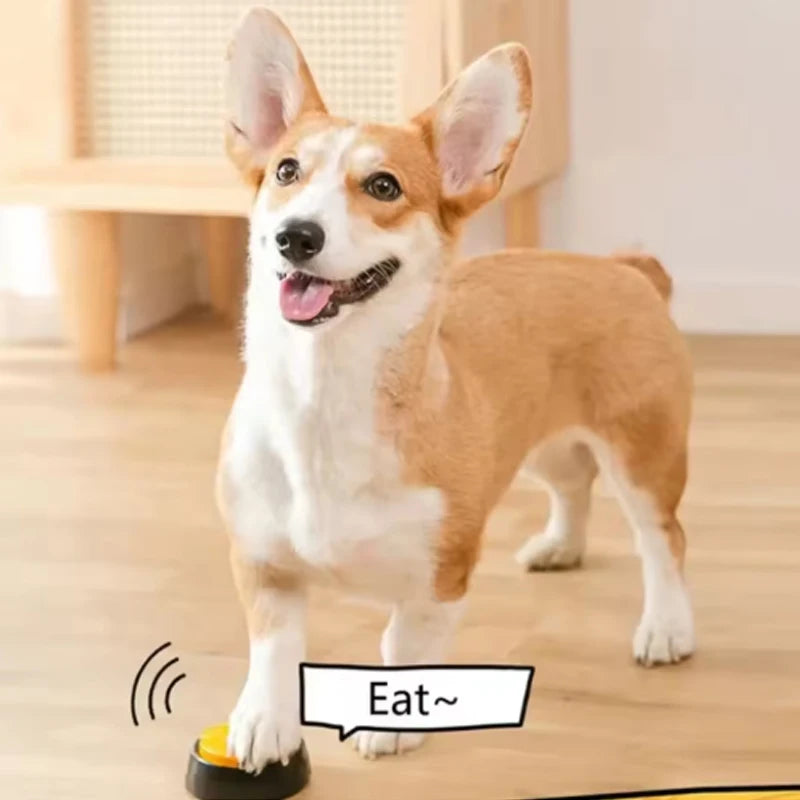 Dog Toy Recordable Talking Button