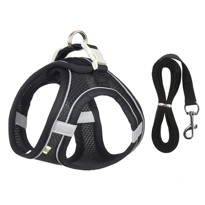 Puppy Collar and Leash Set with Adjustable Harness Vest