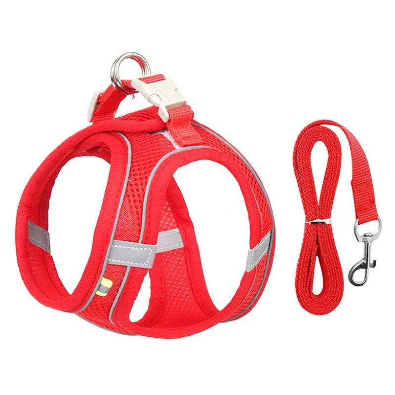 Puppy Collar and Leash Set with Adjustable Harness Vest