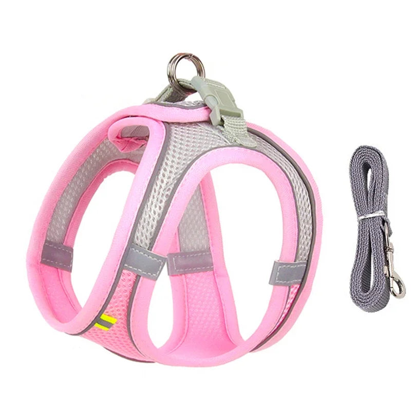 Puppy Collar and Leash Set with Adjustable Harness Vest