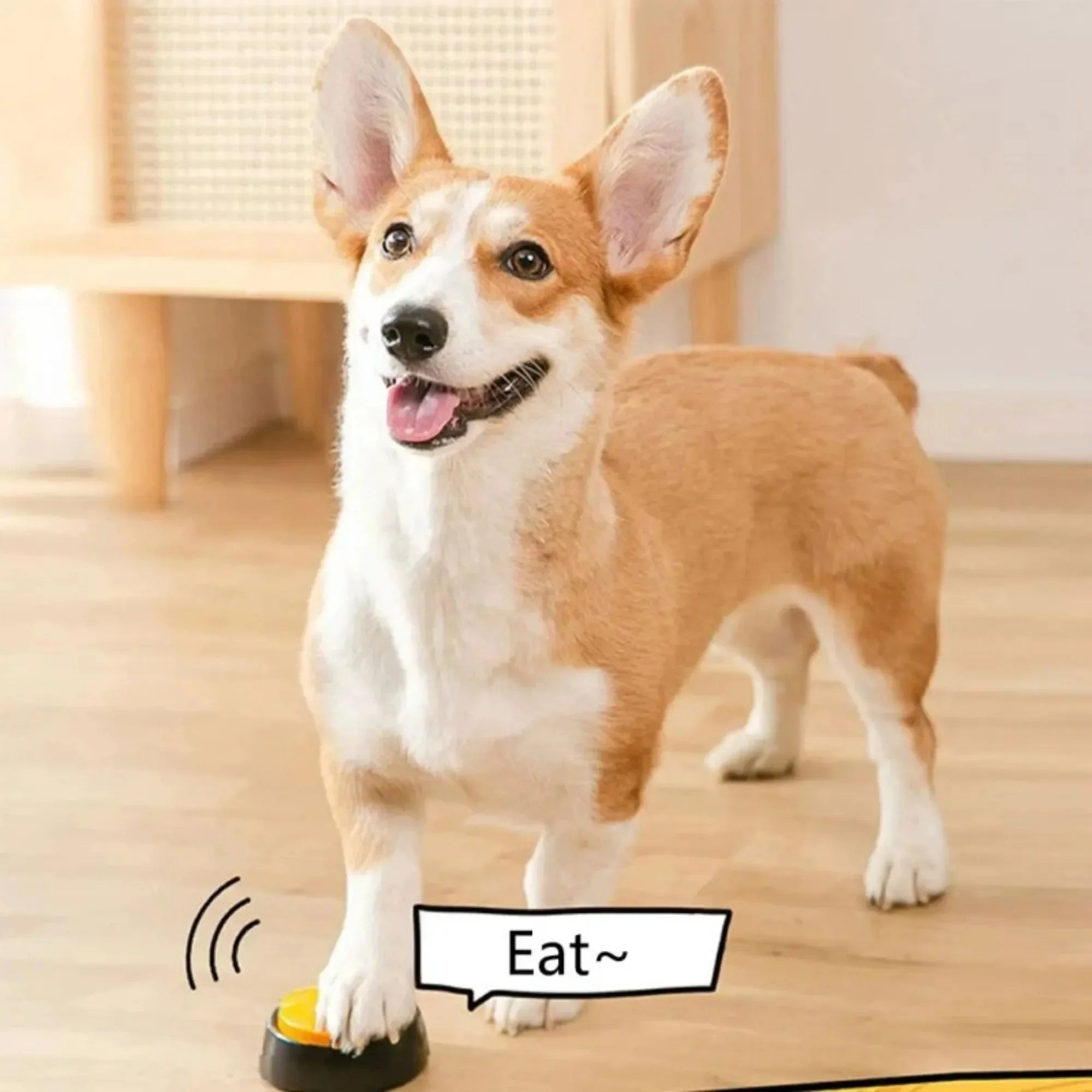 Dog Buttons Voice Recording for Pet Training