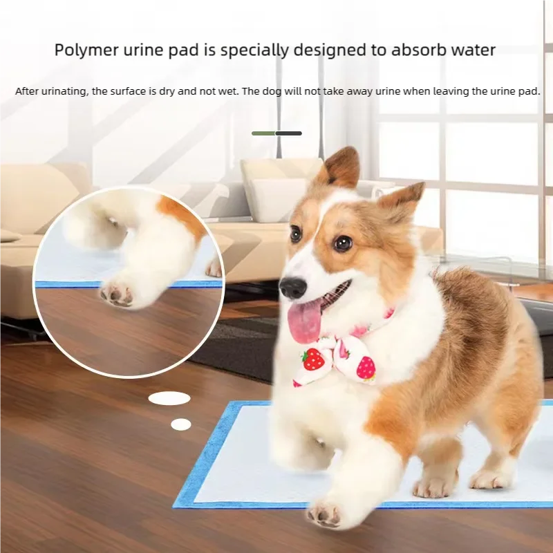 Disposable Pet Urine Pad, Super Absorbent.