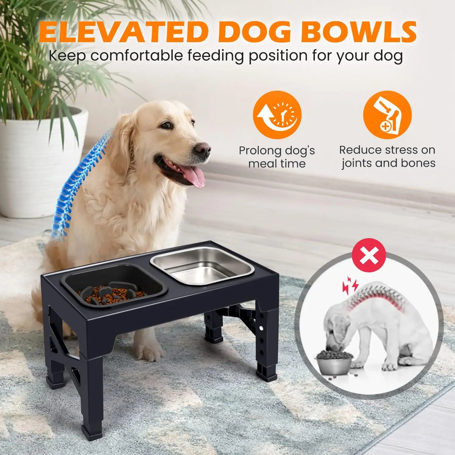 Elevated Dog and Cat Bowls with Foldable Stand
