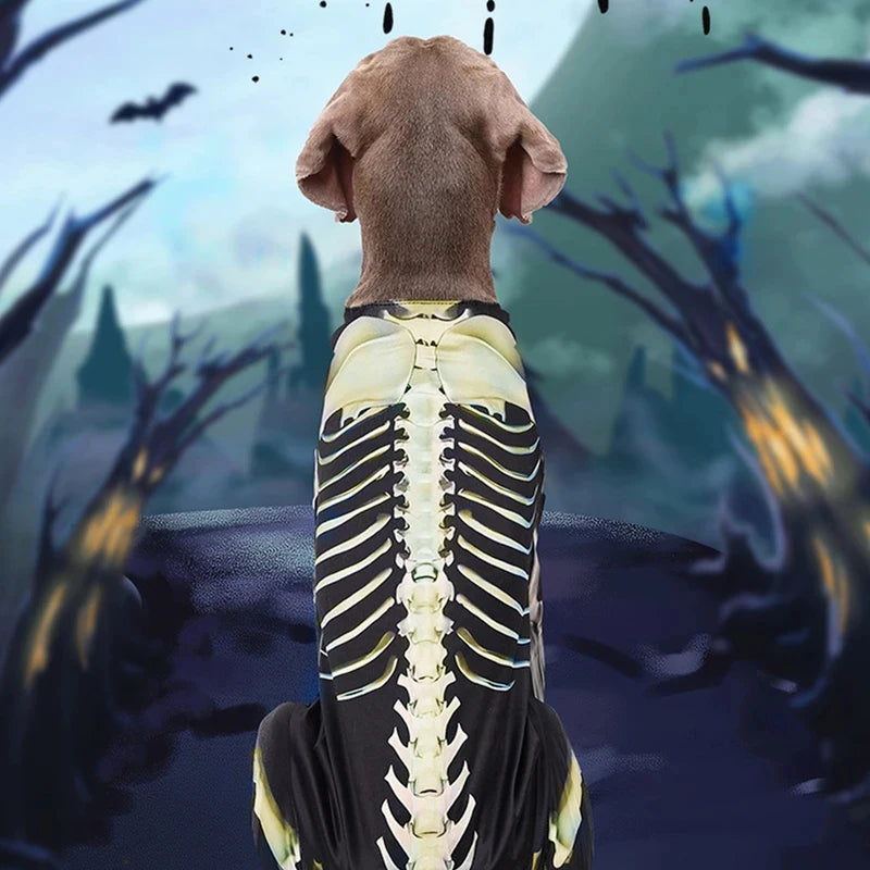 Large Skeleton Dog Halloween Costume.