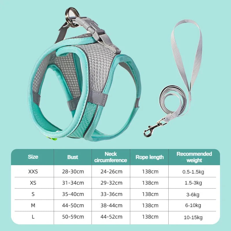 Puppy Collar and Leash Set with Adjustable Harness Vest