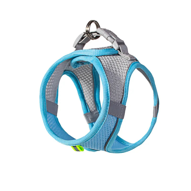 Puppy Collar and Leash Set with Adjustable Harness Vest
