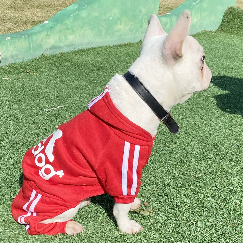 Sweatshirt with Hoodie for Small Dogs, Cats and Puppies for Autumn and Spring.