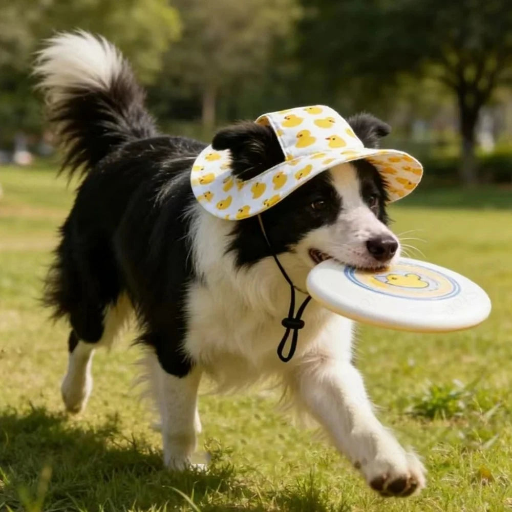 Adjustable Dog Hat Cute Print Cap for Cats and Dogs