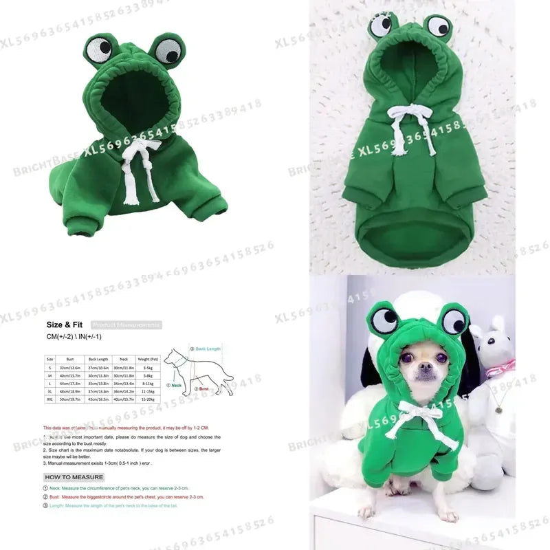 Cute Frog Sweater for Small & Medium Dogs.