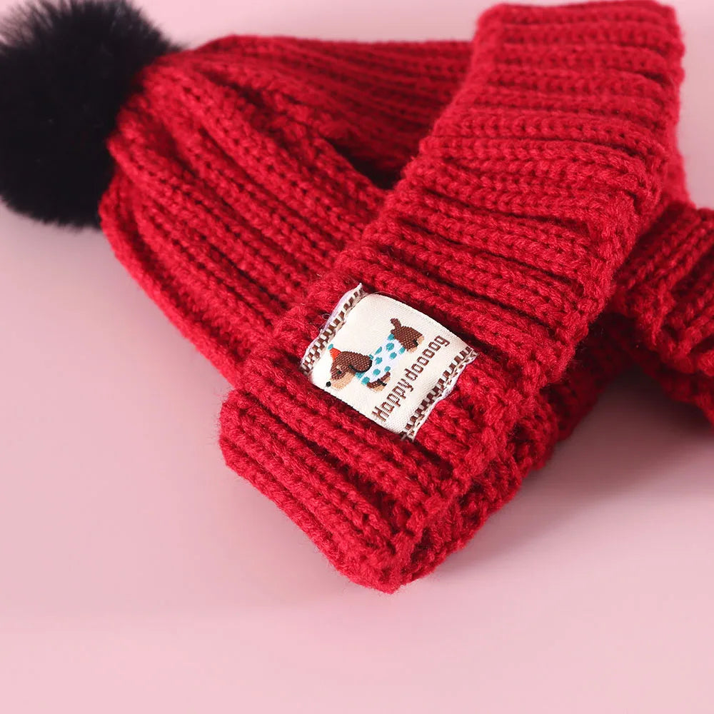 Winter Knitted Dog Hat with Plush Ball