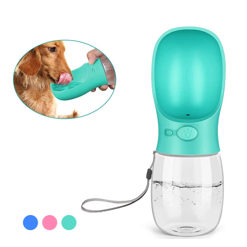 Pet Water Bottle Drinking Feeder for Dogs & Cats