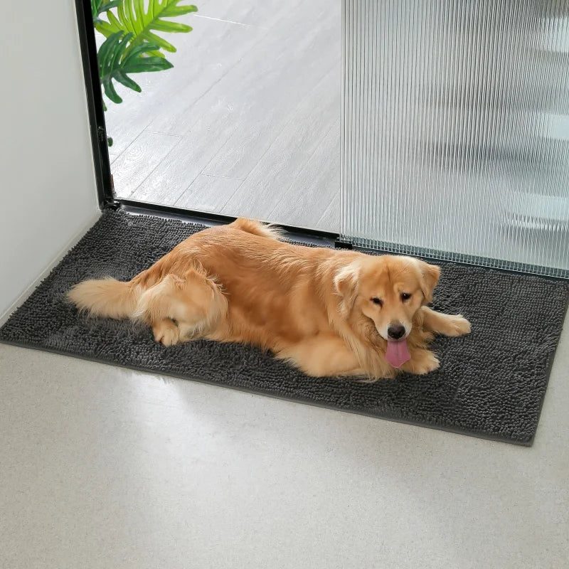 Step 2: Product Title  Dog Door Mat for Muddy Paws, Absorbent Non-Slip Mat