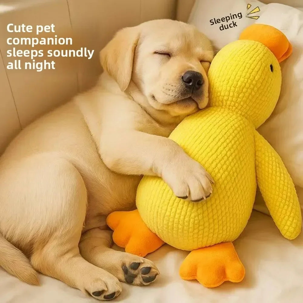 Squeaky Duck for Dogs Plush Puppy Companion Toy