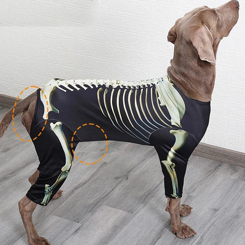 Large Skeleton Dog Halloween Costume.