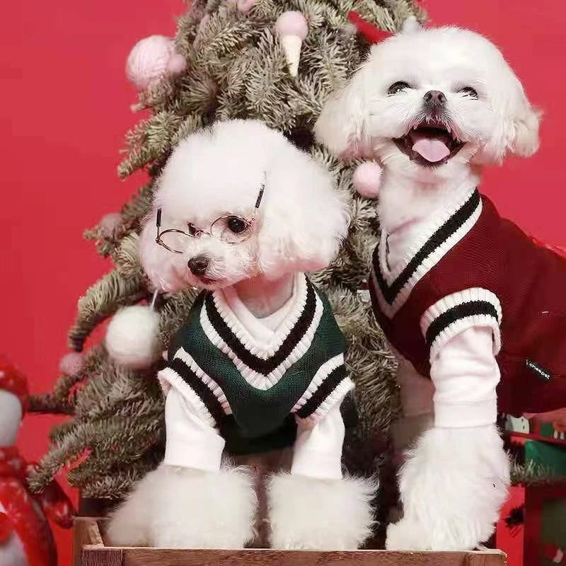 Winter Warm Dog Sweater College Style V-neck for Dogs