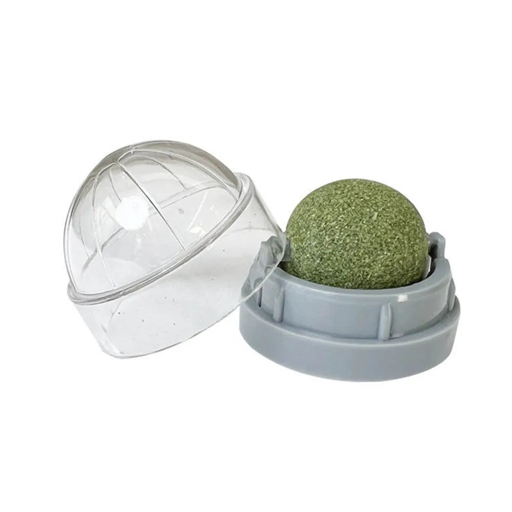 Catnip Cat Wall Stick-on Ball Toy