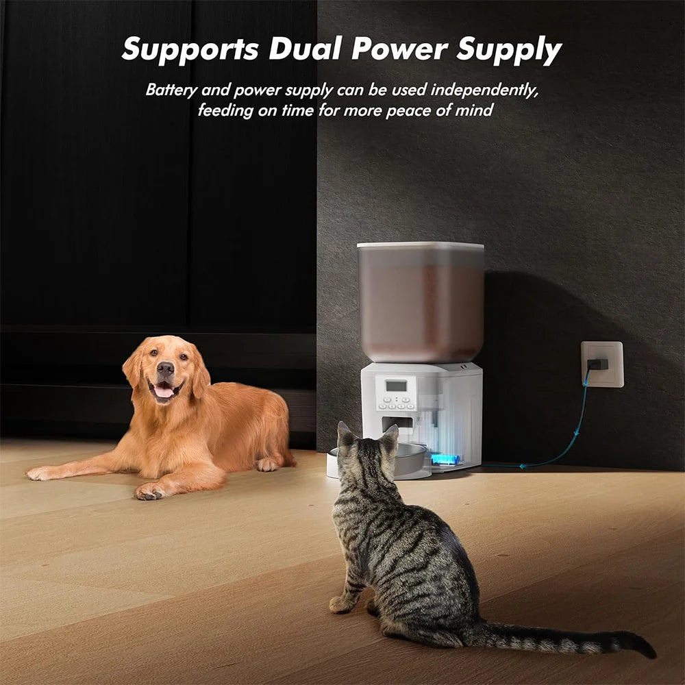8 L Automatic Cat Feeder